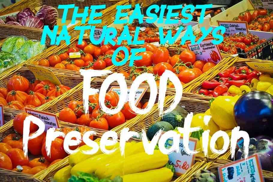 The Easiest Natural Ways of Food Preservation