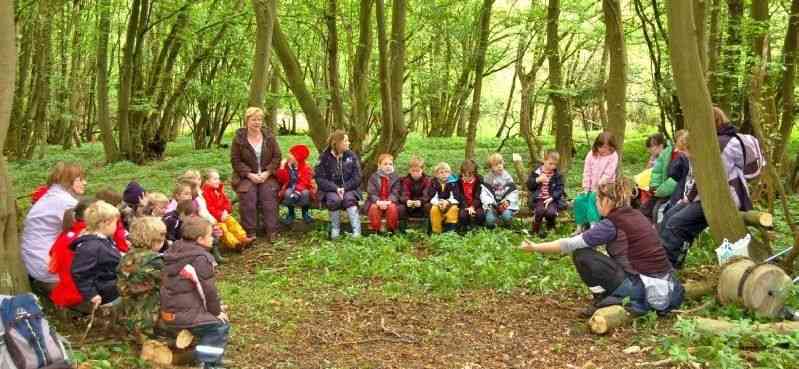 Outdoor Education: A Free Place to Teach