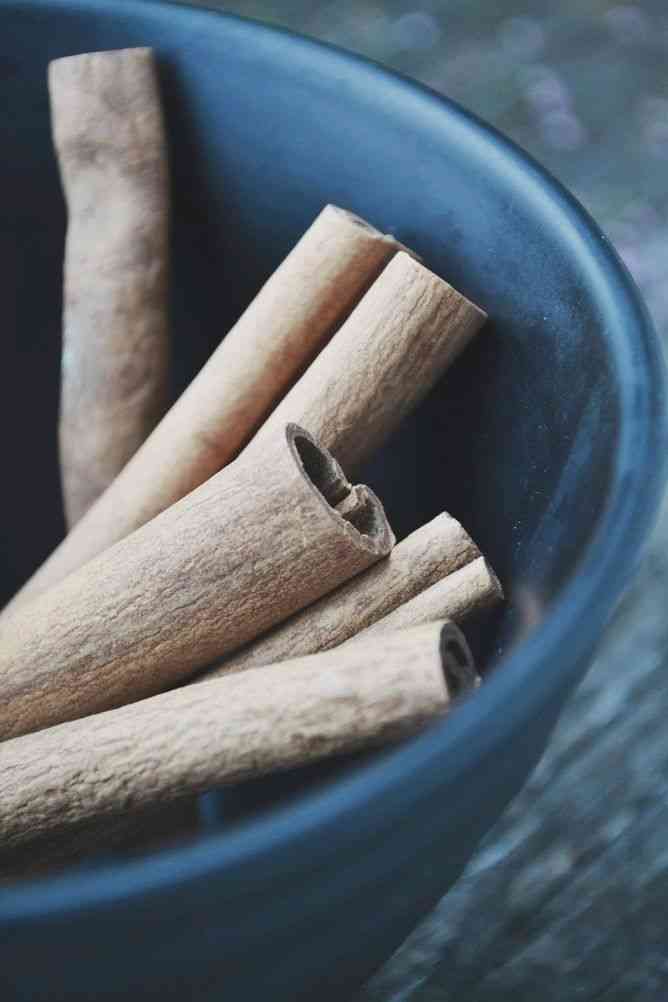 Cinnamon : Health Benefits, Uses and Nutrition