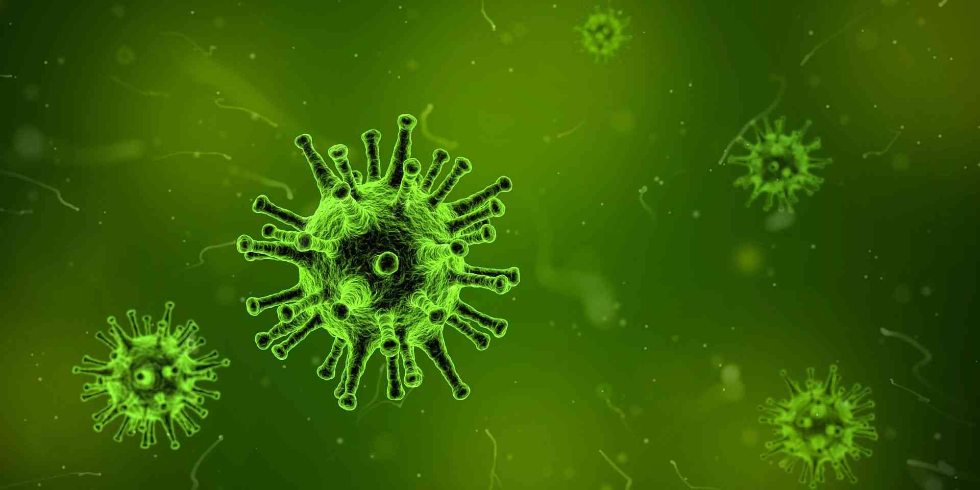 Microbial Flora: Virus