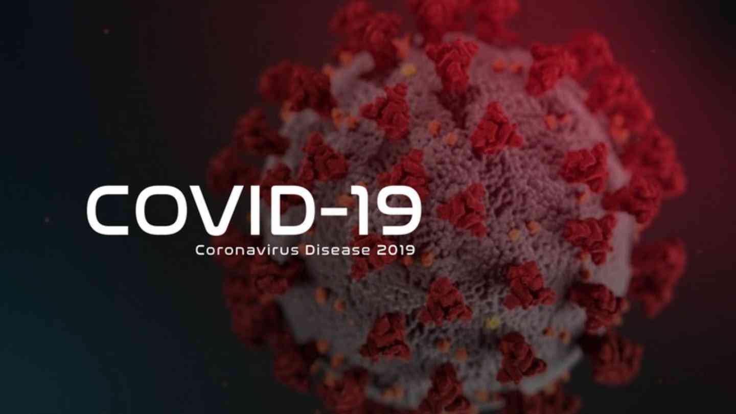Fraudulent Coronavirus (Jordan Perspective)