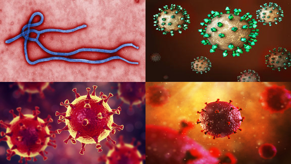 Viruses are More Dangerous than You Think
