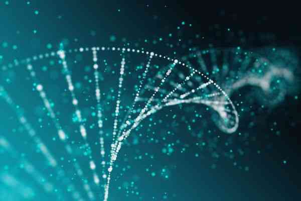 DNA: The Language of Life