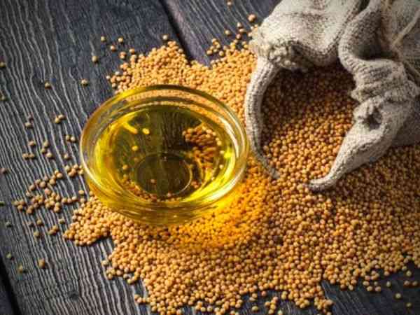 Uses, Benefits And Risk of  Mustard Oil.
