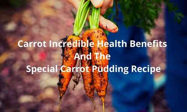 Incredible Health Benefits of Carrot and the Special Carrot Pudding Recipe