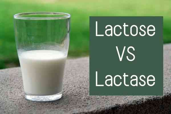 Lactose VS Lactase