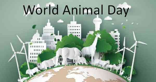 World Animal Day: 4 October