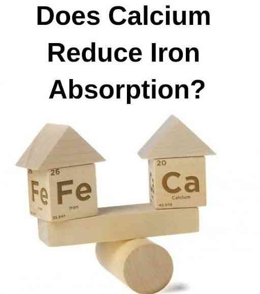 Iron Deficiency Anemia: Are Calcium Salts and Dairy Products One of the Causes?