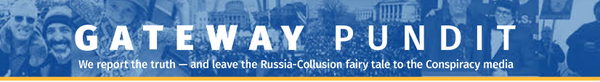Gateway Pundit Story on Eyewitness Account of Murder by Capitol Police
